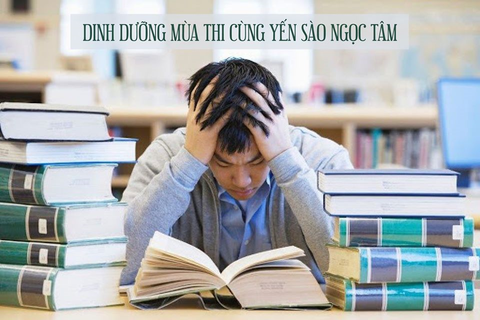Dinh dưỡng mùa thi cùng Yến Sào Ngọc Tâm