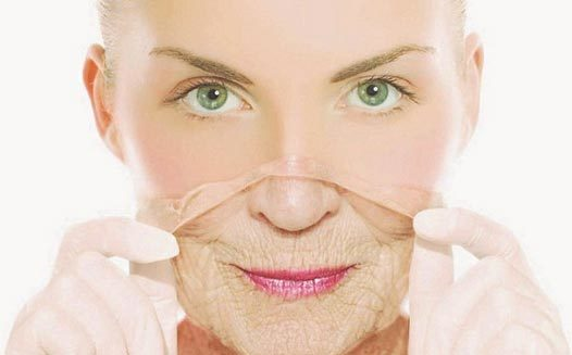 8 Món yến sào trong Đông Y giúp “cải lão hoàn đồng”