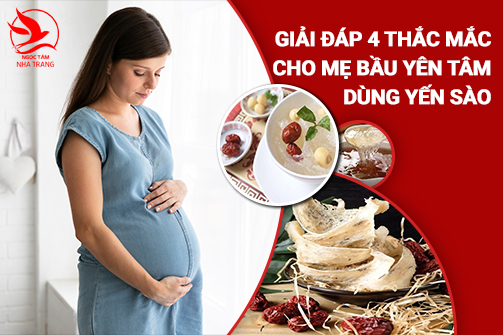 4 thắc mắc cho mẹ bầu khi dùng yến sào