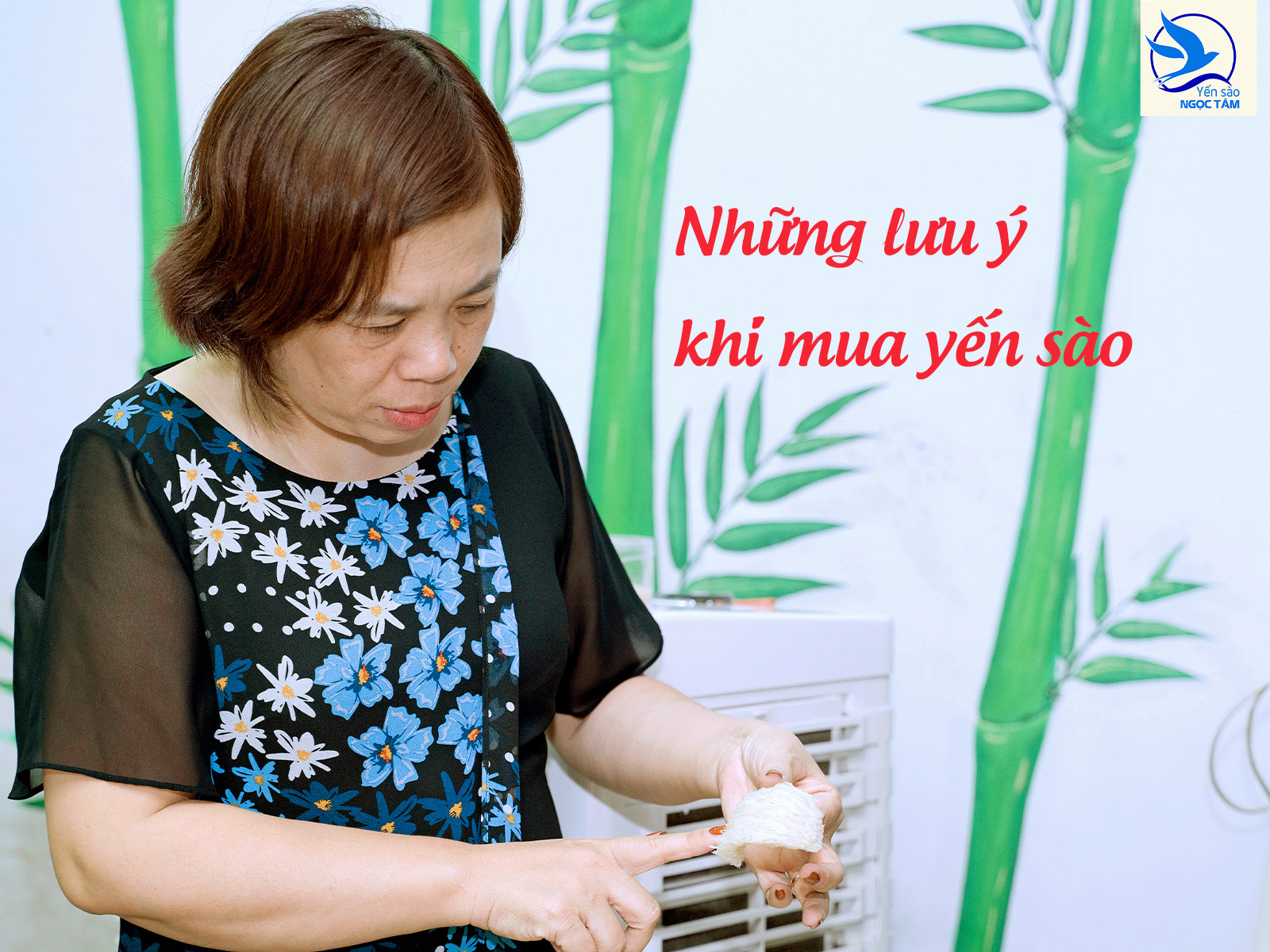 Những điều cần lưu ý khi mua yến sào