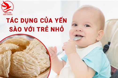 Tác dụng của yến sào đối với trẻ nhỏ như thế nào