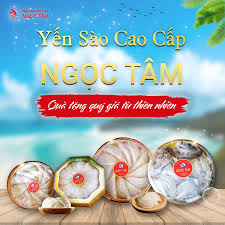 Tổ yến tinh chế dành cho ai? 5 đối tượng nhóm nên sử dụng yến sào | Yến sào Ngọc Tâm